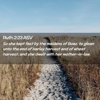 Picture 02 - Ruth 2:23 ASV - So she kept fast by the maidens of Boaz, to glean - Bible Verse Picture