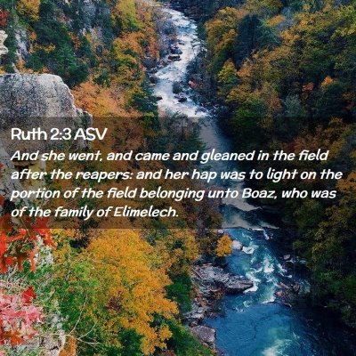 Picture 02 - Ruth 2:3 ASV - And she went, and came and gleaned in the field - Bible Verse Picture