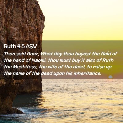 Picture 02 - Ruth 4:5 ASV - Then said Boaz, What day thou buyest the field of - Bible Verse Picture