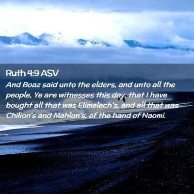 Picture 02 - Ruth 4:9 ASV - And Boaz said unto the elders, and unto all the - Bible Verse Picture