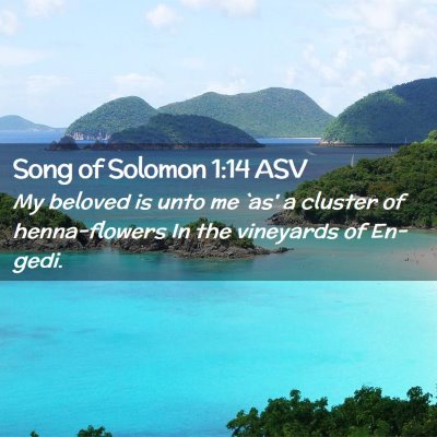 Picture 02 - Song of Solomon 1:14 ASV - My beloved is unto me `as' a cluster of - Bible Verse Picture