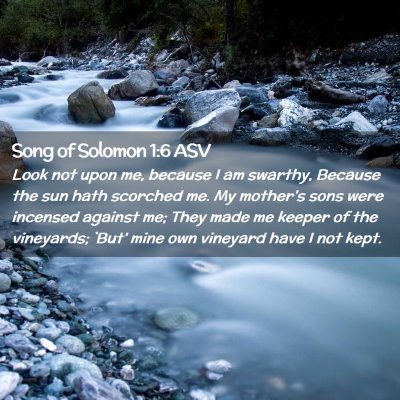 Picture 02 - Song of Solomon 1:6 ASV - Look not upon me, because I am swarthy, Because - Bible Verse Picture