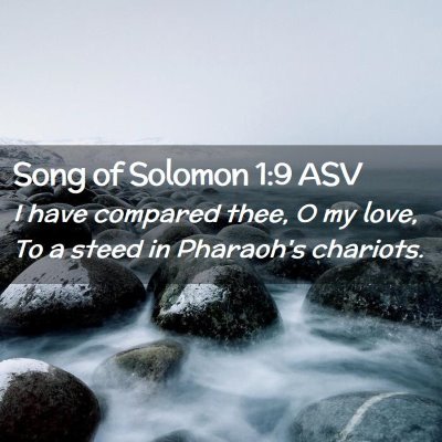 Picture 02 - Song of Solomon 1:9 ASV - I have compared thee, O my love, To a steed in - Bible Verse Picture