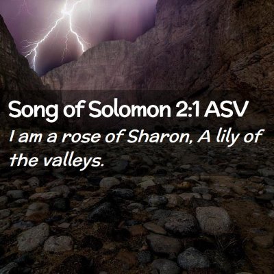 Picture 02 - Song of Solomon 2:1 ASV - I am a rose of Sharon, A lily of the - Bible Verse Picture