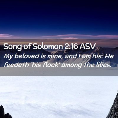 Picture 02 - Song of Solomon 2:16 ASV - My beloved is mine, and I am his: He feedeth `his - Bible Verse Picture