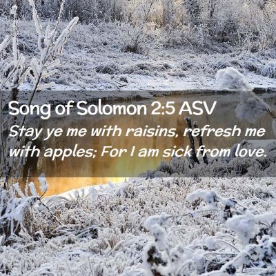 Picture 02 - Song of Solomon 2:5 ASV - Stay ye me with raisins, refresh me with apples; - Bible Verse Picture