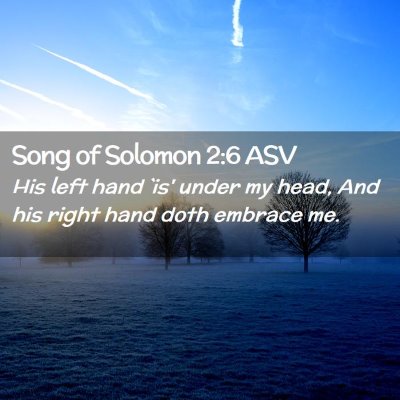 Picture 02 - Song of Solomon 2:6 ASV - His left hand `is' under my head, And his right - Bible Verse Picture