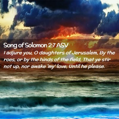 Picture 02 - Song of Solomon 2:7 ASV - I adjure you, O daughters of Jerusalem, By the - Bible Verse Picture