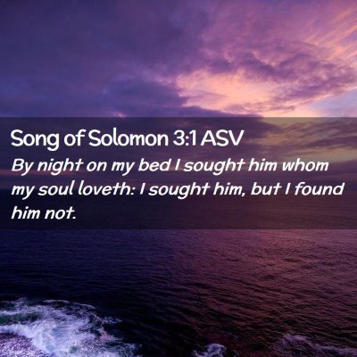 Picture 02 - Song of Solomon 3:1 ASV - By night on my bed I sought him whom my soul - Bible Verse Picture