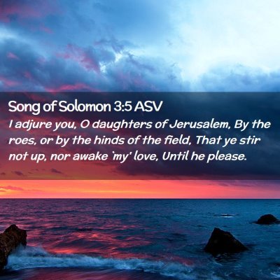 Picture 02 - Song of Solomon 3:5 ASV - I adjure you, O daughters of Jerusalem, By the - Bible Verse Picture