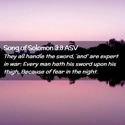 Picture 02 - Song of Solomon 3:8 ASV - They all handle the sword, `and' are expert in - Bible Verse Picture