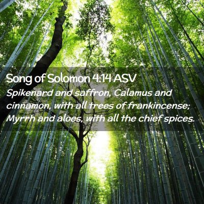 Picture 02 - Song of Solomon 4:14 ASV - Spikenard and saffron, Calamus and cinnamon, with - Bible Verse Picture
