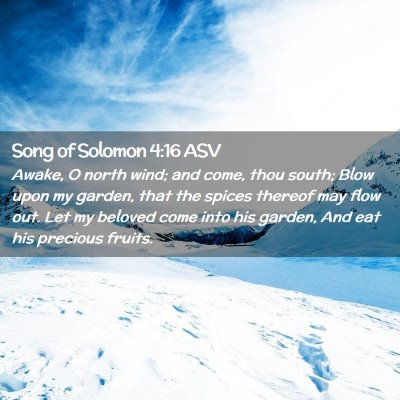 Picture 02 - Song of Solomon 4:16 ASV - Awake, O north wind; and come, thou south; Blow - Bible Verse Picture