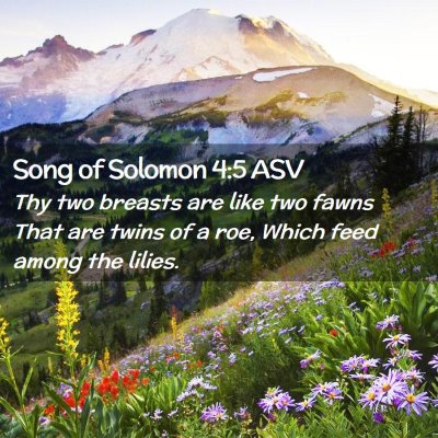 Picture 02 - Song of Solomon 4:5 ASV - Thy two breasts are like two fawns That are twins - Bible Verse Picture
