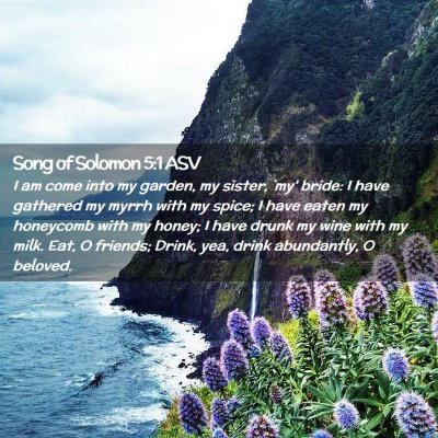 Picture 02 - Song of Solomon 5:1 ASV - I am come into my garden, my sister, `my' bride: - Bible Verse Picture