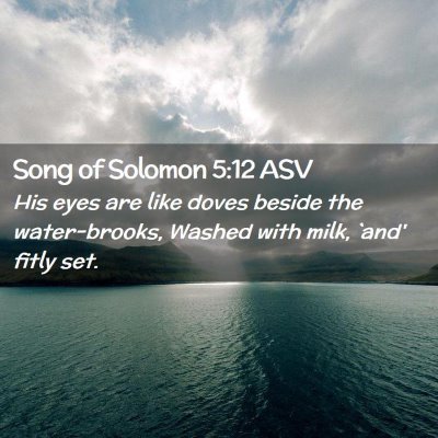 Picture 02 - Song of Solomon 5:12 ASV - His eyes are like doves beside the water-brooks, - Bible Verse Picture