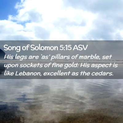 Picture 02 - Song of Solomon 5:15 ASV - His legs are `as' pillars of marble, set upon - Bible Verse Picture