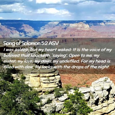 Picture 02 - Song of Solomon 5:2 ASV - I was asleep, but my heart waked: It is the voice - Bible Verse Picture