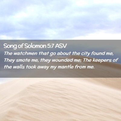 Picture 02 - Song of Solomon 5:7 ASV - The watchmen that go about the city found me, - Bible Verse Picture
