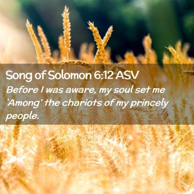 Picture 02 - Song of Solomon 6:12 ASV - Before I was aware, my soul set me `Among' the - Bible Verse Picture