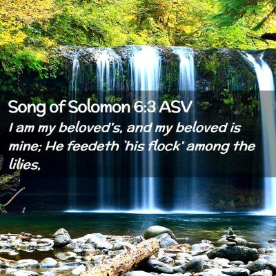 Picture 02 - Song of Solomon 6:3 ASV - I am my beloved's, and my beloved is mine; He - Bible Verse Picture