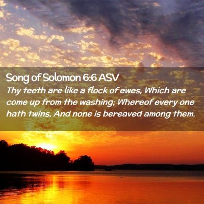 Picture 02 - Song of Solomon 6:6 ASV - Thy teeth are like a flock of ewes, Which are - Bible Verse Picture