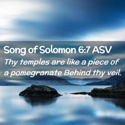 Picture 02 - Song of Solomon 6:7 ASV - Thy temples are like a piece of a pomegranate - Bible Verse Picture