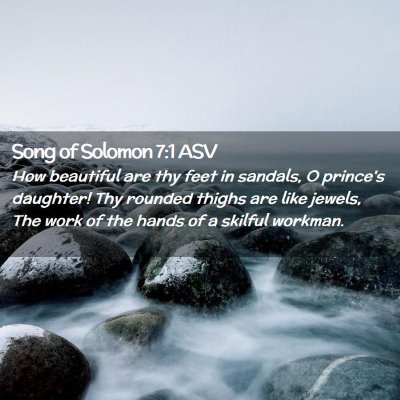 Picture 02 - Song of Solomon 7:1 ASV - How beautiful are thy feet in sandals, O prince's - Bible Verse Picture