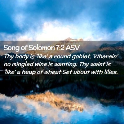 Picture 02 - Song of Solomon 7:2 ASV - Thy body is `like' a round goblet, `Wherein' no - Bible Verse Picture