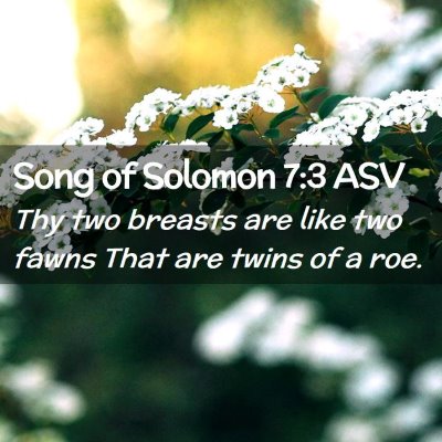 Picture 02 - Song of Solomon 7:3 ASV - Thy two breasts are like two fawns That are twins - Bible Verse Picture