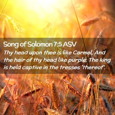 Picture 02 - Song of Solomon 7:5 ASV - Thy head upon thee is like Carmel, And the hair - Bible Verse Picture
