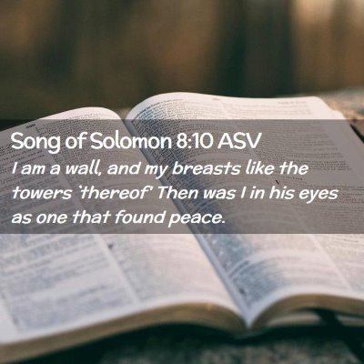 Picture 02 - Song of Solomon 8:10 ASV - I am a wall, and my breasts like the towers - Bible Verse Picture