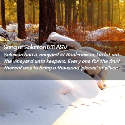 Picture 02 - Song of Solomon 8:11 ASV - Solomon had a vineyard at Baal-hamon; He let out - Bible Verse Picture