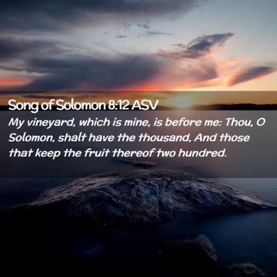 Picture 02 - Song of Solomon 8:12 ASV - My vineyard, which is mine, is before me: Thou, O - Bible Verse Picture