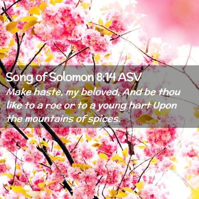 Picture 02 - Song of Solomon 8:14 ASV - Make haste, my beloved, And be thou like to a roe - Bible Verse Picture