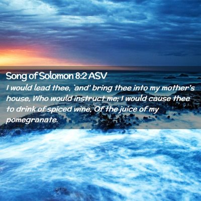 Picture 02 - Song of Solomon 8:2 ASV - I would lead thee, `and' bring thee into my - Bible Verse Picture