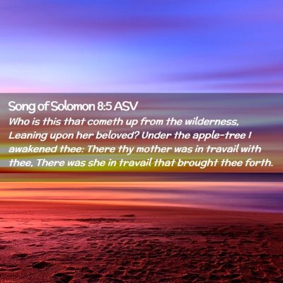 Picture 02 - Song of Solomon 8:5 ASV - Who is this that cometh up from the wilderness, - Bible Verse Picture