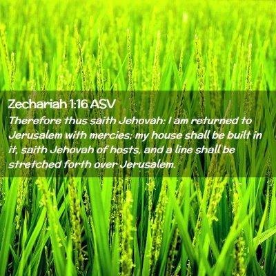 Picture 02 - Zechariah 1:16 ASV - Therefore thus saith Jehovah: I am returned to - Bible Verse Picture