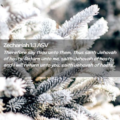 Picture 02 - Zechariah 1:3 ASV - Therefore say thou unto them, Thus saith Jehovah - Bible Verse Picture
