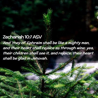 Picture 02 - Zechariah 10:7 ASV - And `they of' Ephraim shall be like a mighty man, - Bible Verse Picture