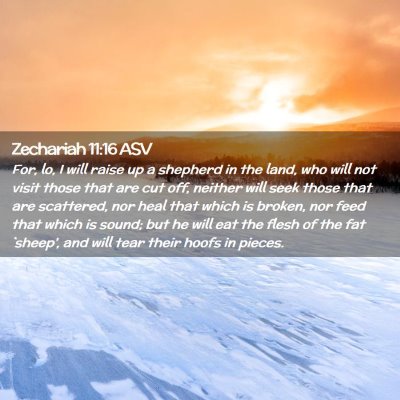 Picture 02 - Zechariah 11:16 ASV - For, lo, I will raise up a shepherd in the land, - Bible Verse Picture