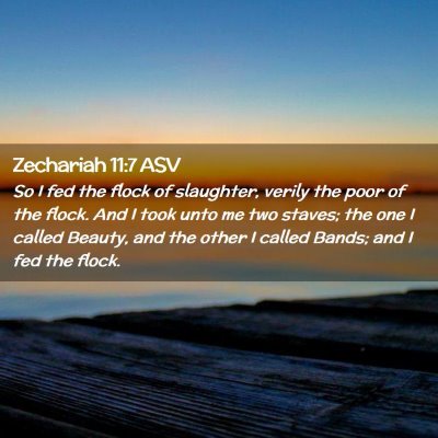 Picture 02 - Zechariah 11:7 ASV - So I fed the flock of slaughter, verily the poor - Bible Verse Picture