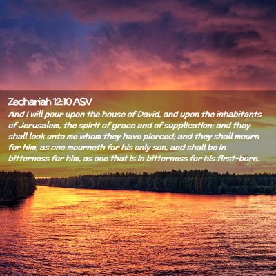 Picture 02 - Zechariah 12:10 ASV - And I will pour upon the house of David, and upon - Bible Verse Picture