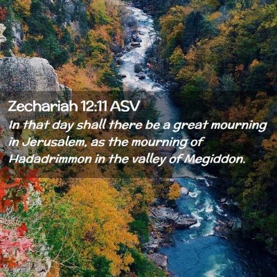 Picture 02 - Zechariah 12:11 ASV - In that day shall there be a great mourning in - Bible Verse Picture