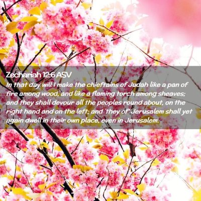 Picture 02 - Zechariah 12:6 ASV - In that day will I make the chieftains of Judah - Bible Verse Picture