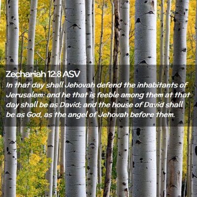 Picture 02 - Zechariah 12:8 ASV - In that day shall Jehovah defend the inhabitants - Bible Verse Picture