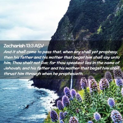 Picture 02 - Zechariah 13:3 ASV - And it shall come to pass that, when any shall - Bible Verse Picture