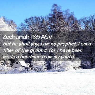 Picture 02 - Zechariah 13:5 ASV - but he shall say, I am no prophet, I am a tiller - Bible Verse Picture