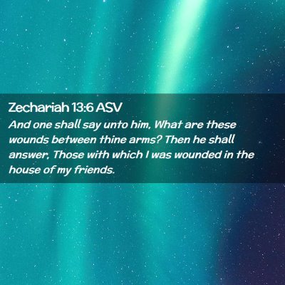 Picture 02 - Zechariah 13:6 ASV - And one shall say unto him, What are these wounds - Bible Verse Picture
