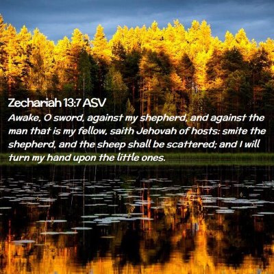 Picture 02 - Zechariah 13:7 ASV - Awake, O sword, against my shepherd, and against - Bible Verse Picture